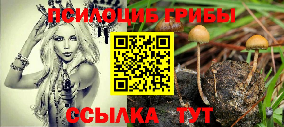 Свободный  Галлюциногенные грибы мицелий  Псилоцибиновые грибы прущие грибы  Вход с VPN 