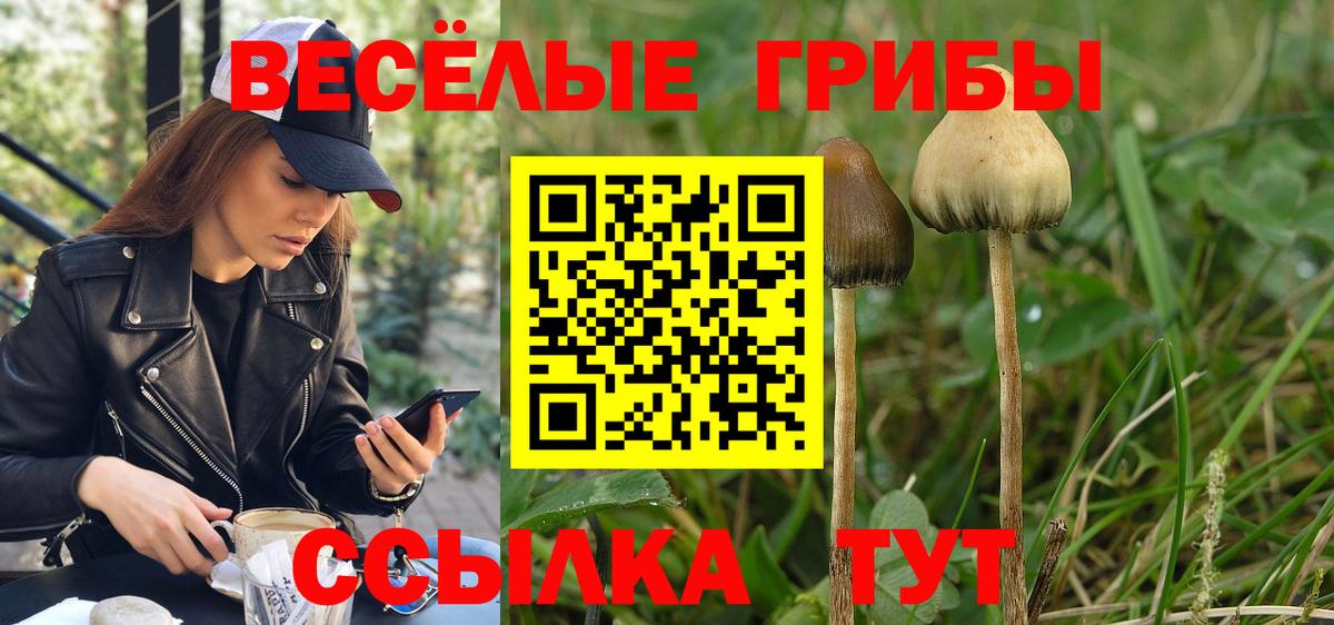 Псилоцибиновые грибы мицелий Свободный